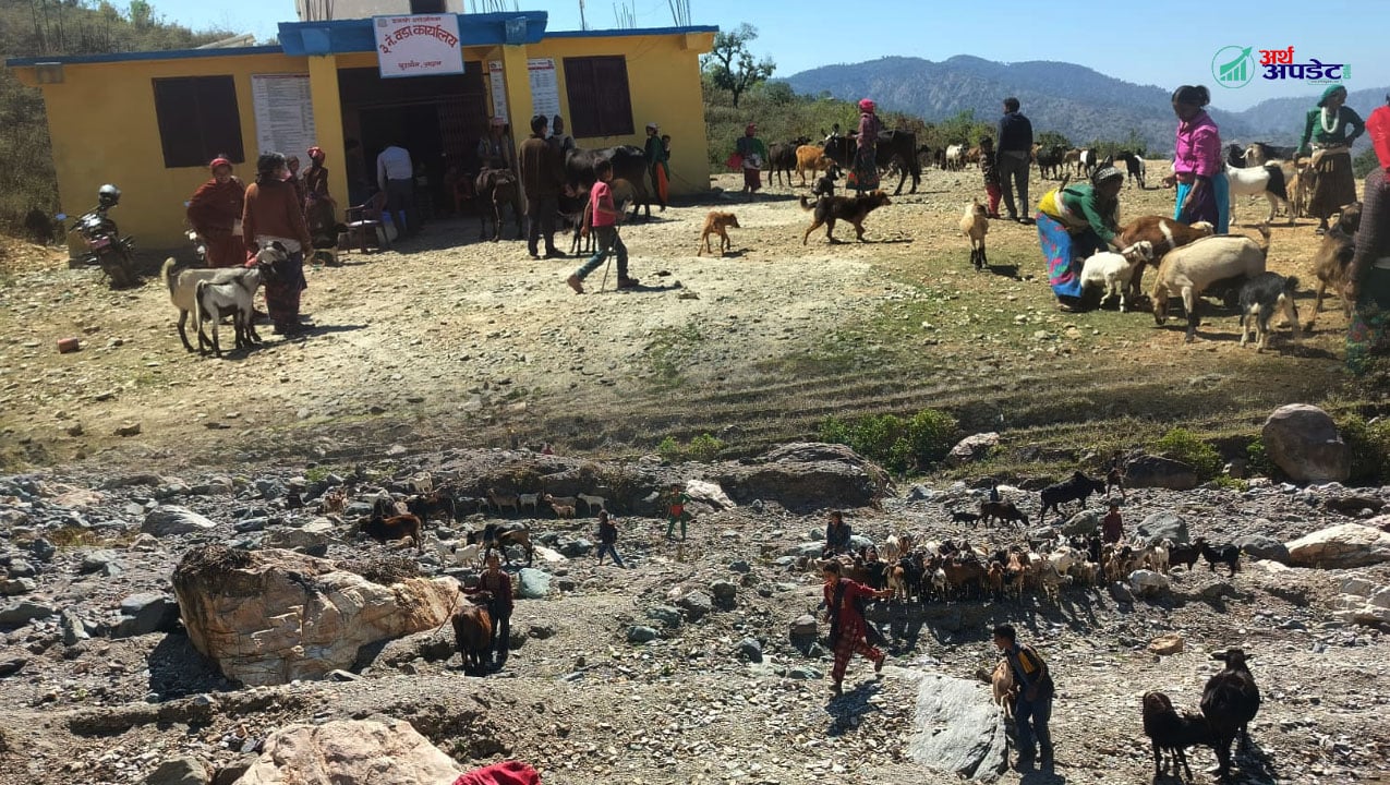 ढकारी गाउँपालिकामा पशु स्वास्थ्य तथा खोप शिविर सम्पन्न